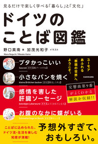 「聞いてみました！日本にくらす外国人」書影